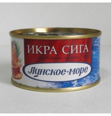 Сиг уылдырығы 