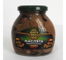 Маринадталған сұрыпталған майқұлақтар 314мл