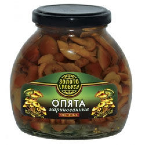 Маринадталған сұрыпталған томар саңырауқұлақтары 314мл – Саңырауқұлақтар Бішкекте сатып алу | Маринадталған сұрыпталған томар саңырауқұлақтары 314мл – Шымкентте сатып алу |