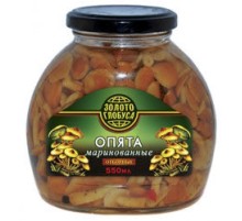 Маринадталған сұрыпталған томар саңырауқұлақтары 550мл