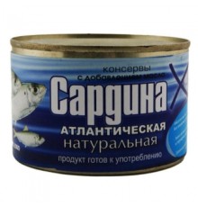 Май қосылған табиғи атлантикалық сардина 