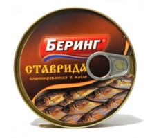 Майдағы бланширленген ставрида «Беринг»