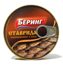 Майдағы бланширленген ставрида «Беринг»